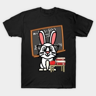 Funny Rabbit is teaching T-Shirt